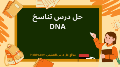 حل درس تناسخ DNA للصف الحادي عشر