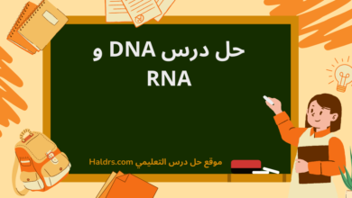 حل درس DNA و RNA