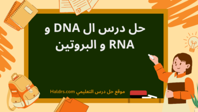 حل درس ال DNA و RNA و البروتين