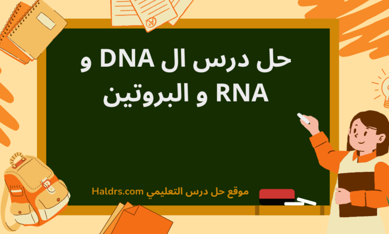 حل درس ال DNA و RNA و البروتين